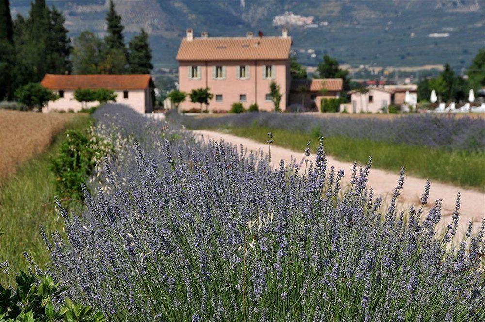 Country House Casco Dell'Acqua Τρέβι Εξωτερικό φωτογραφία